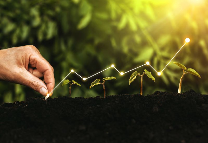 How Value Investing Can Build Long-Term Wealth for Patient Investors